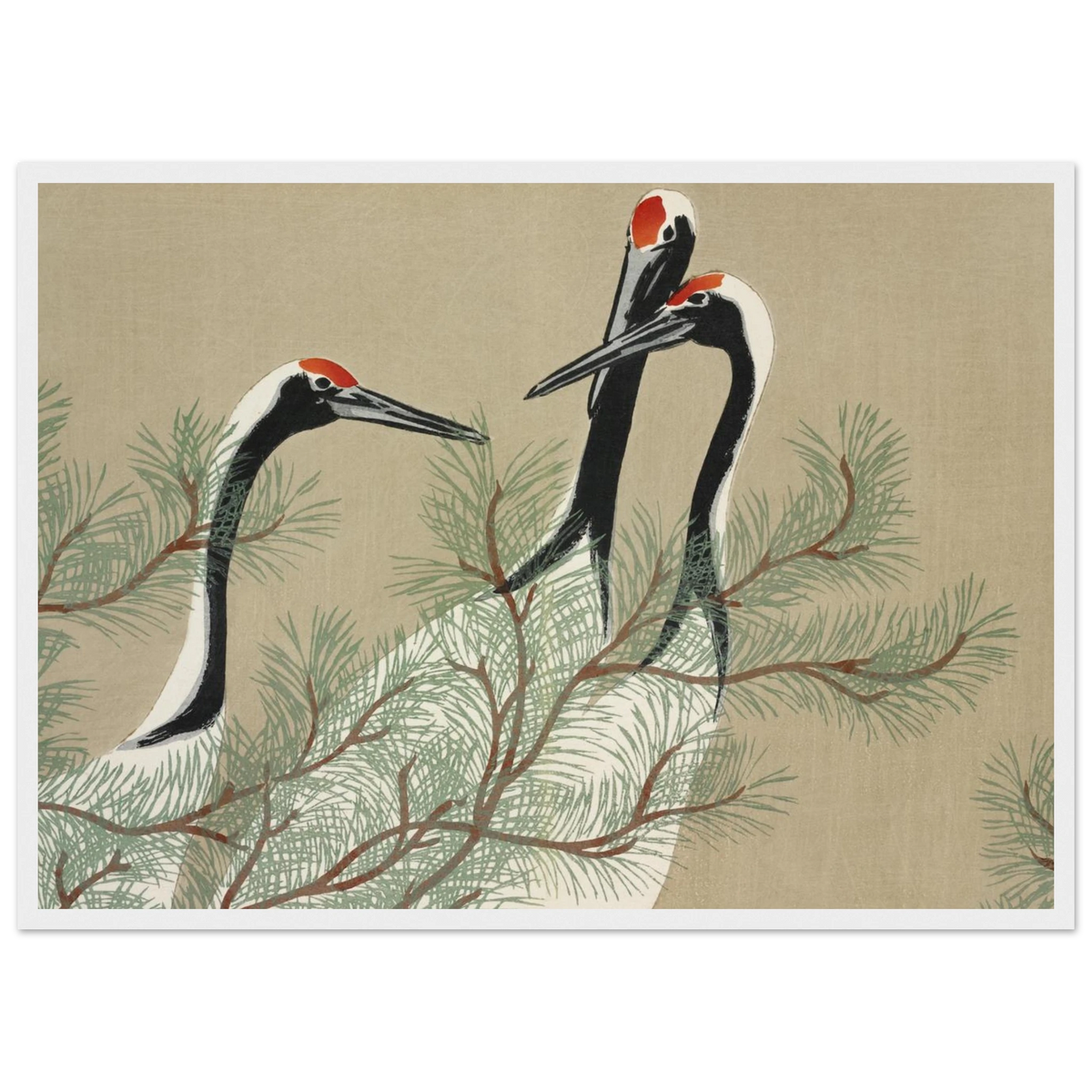 Estampe japonaise Tsuru, Grues — Kamisaka Sekka, tirage encadré cadre blanc | INKONAL