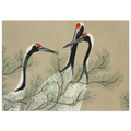 Estampe japonaise Tsuru, Grues — Kamisaka Sekka, tirage sans cadre | INKONAL