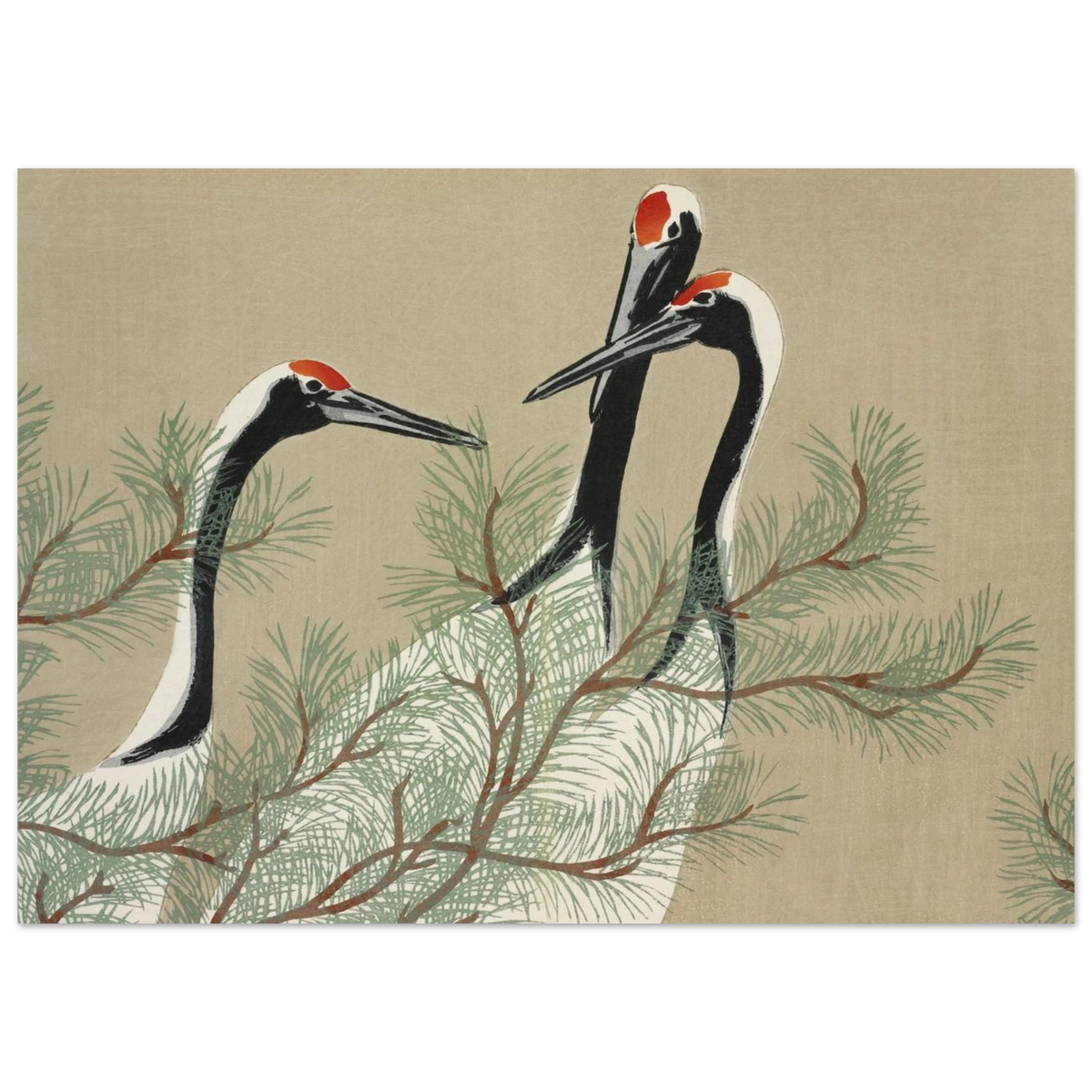 Estampe japonaise Tsuru, Grues — Kamisaka Sekka, tirage sans cadre | INKONAL