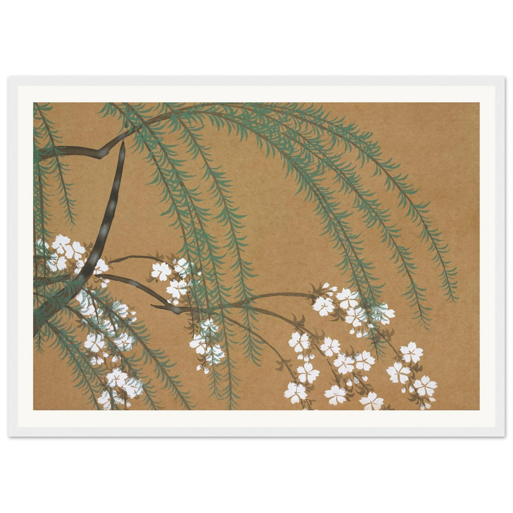Estampe japonaise YANAGIZAKURA, Saule et cerisier — Kamisaka Sekka, tirage encadré cadre blanc | INKONAL