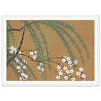 Estampe japonaise YANAGIZAKURA, Saule et cerisier — Kamisaka Sekka, tirage encadré cadre blanc | INKONAL