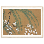Estampe japonaise YANAGIZAKURA, Saule et cerisier — Kamisaka Sekka, tirage encadré cadre bois | INKONAL