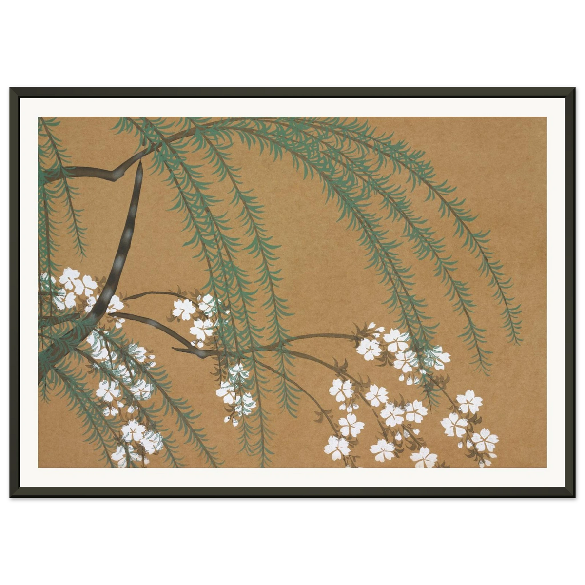 Estampe japonaise YANAGIZAKURA, Saule et cerisier — Kamisaka Sekka, tirage encadré cadre noir | INKONAL
