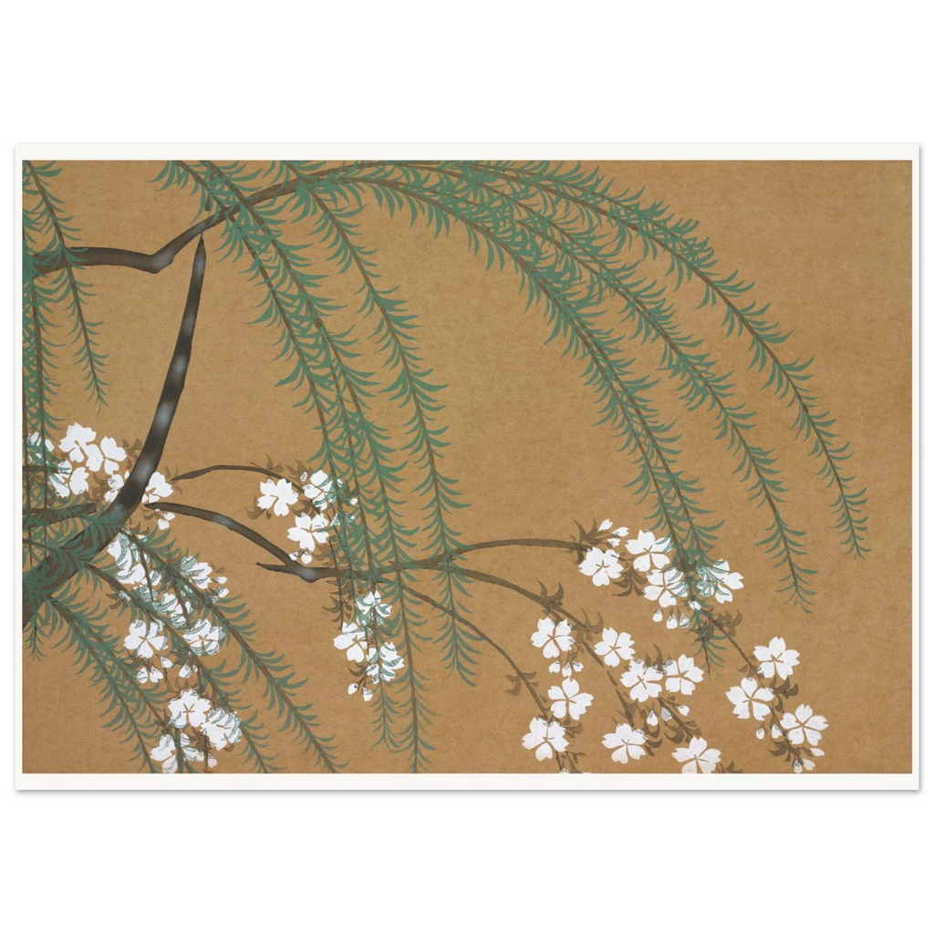 Estampe japonaise YANAGIZAKURA, Saule et cerisier — Kamisaka Sekka, tirage sans cadre | INKONAL