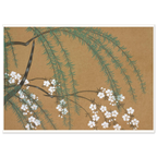Estampe japonaise YANAGIZAKURA, Saule et cerisier — Kamisaka Sekka, tirage sans cadre | INKONAL