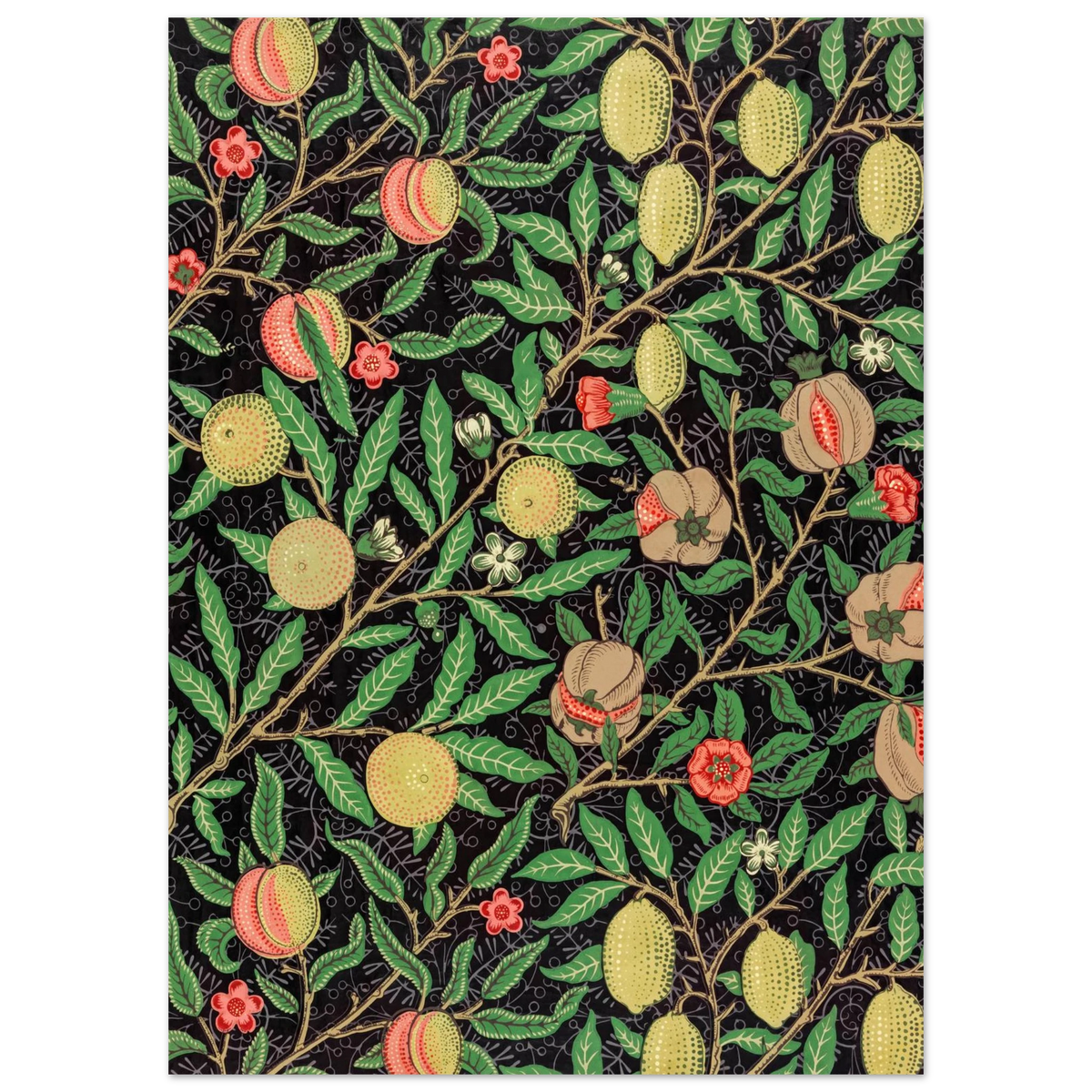 Motif Fruits, fond noir — William Morris, tirage sans cadre | INKONAL