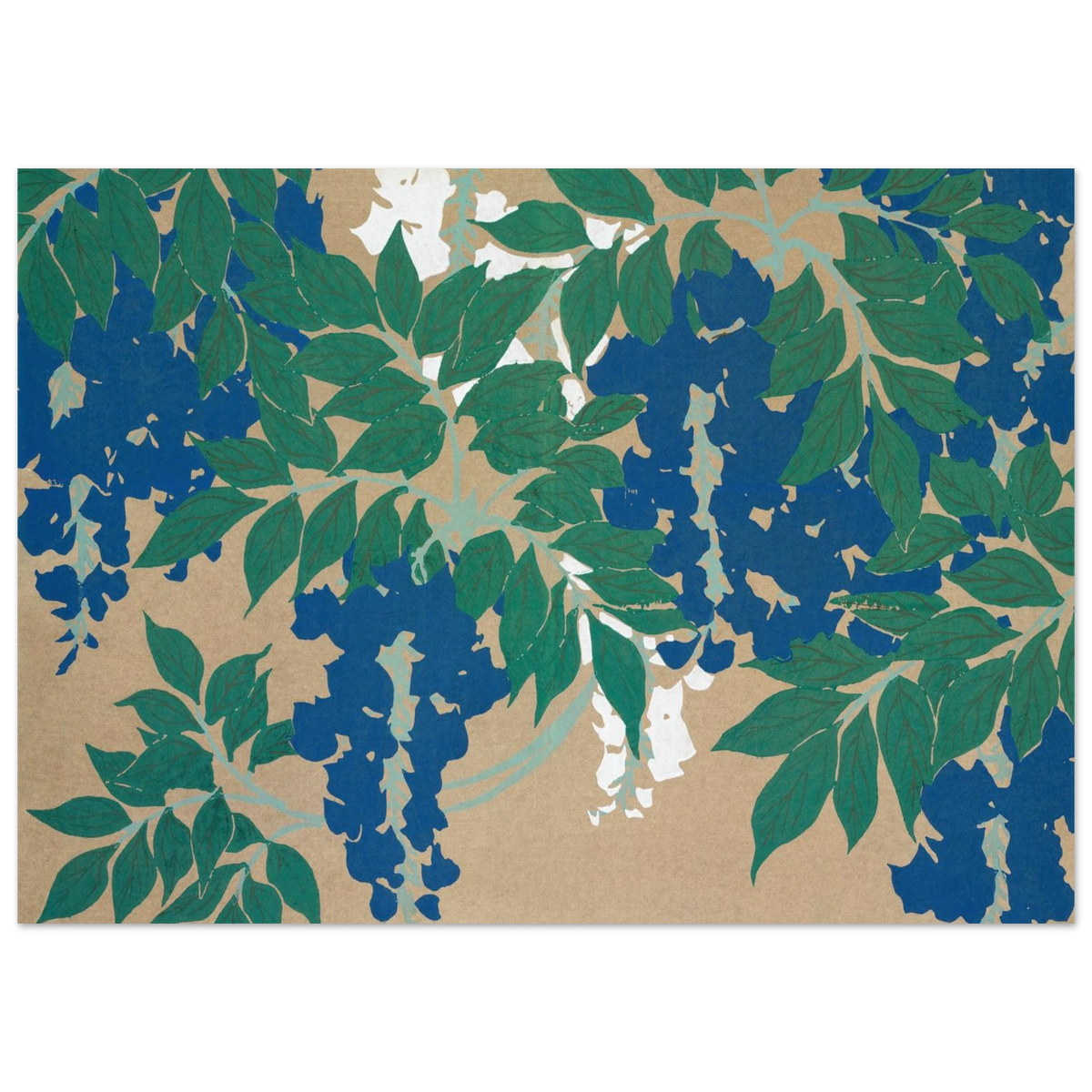 Estampe japonaise FUJI, Glycine — Kamisaka Sekka, tirage sans cadre | INKONAL