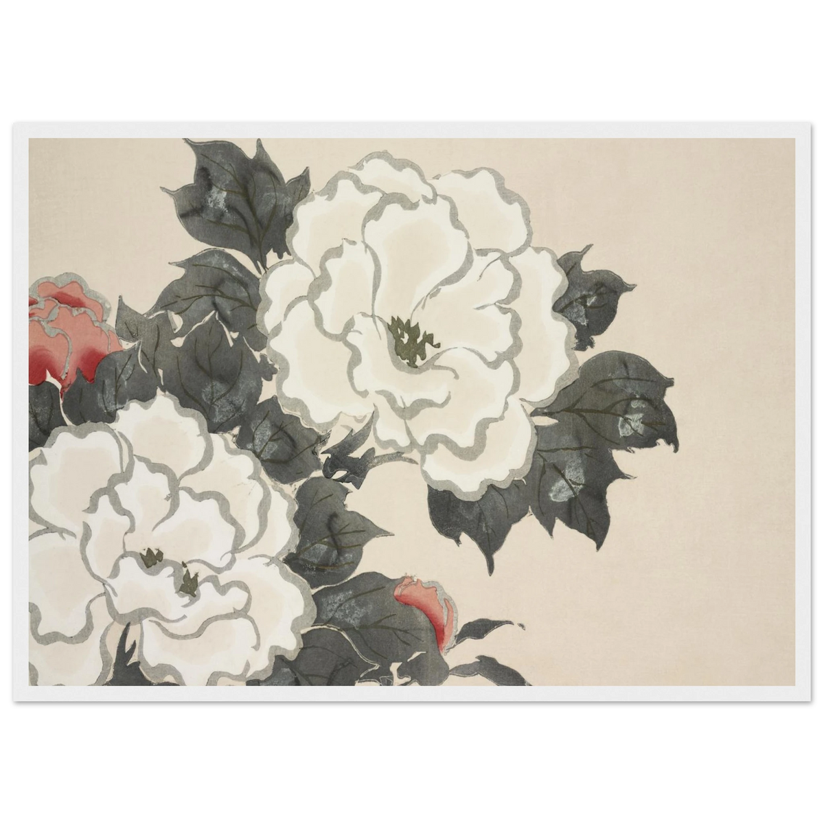 Estampe japonaise FUKAMIGUSA, Pivoines — Kamisaka Sekka, tirage encadré cadre blanc | INKONAL