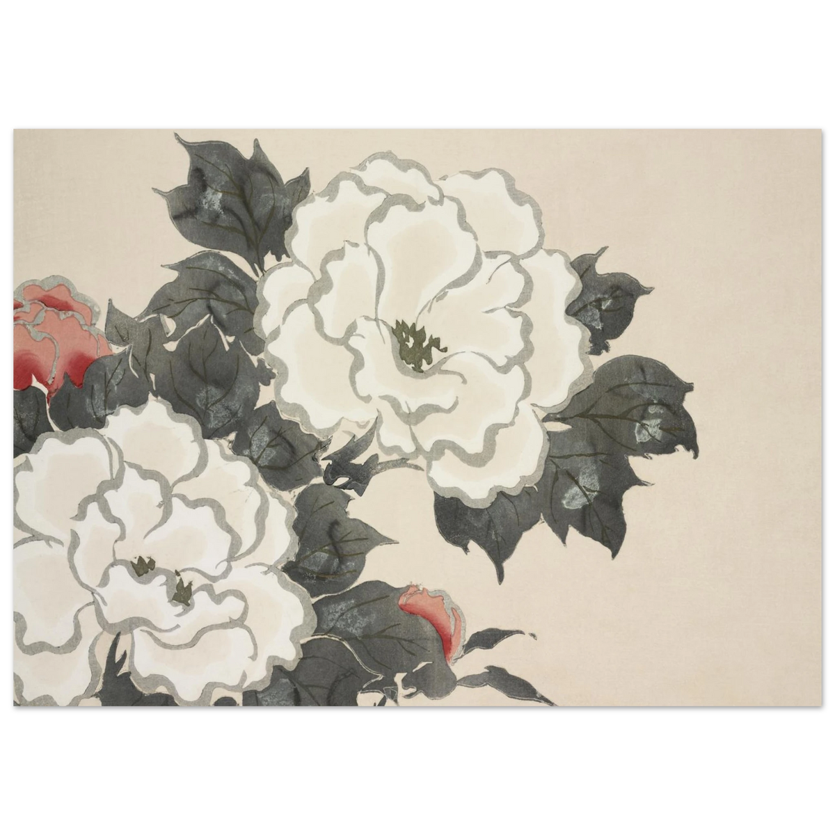 Estampe japonaise FUKAMIGUSA, Pivoines — Kamisaka Sekka, tirage sans cadre | INKONAL