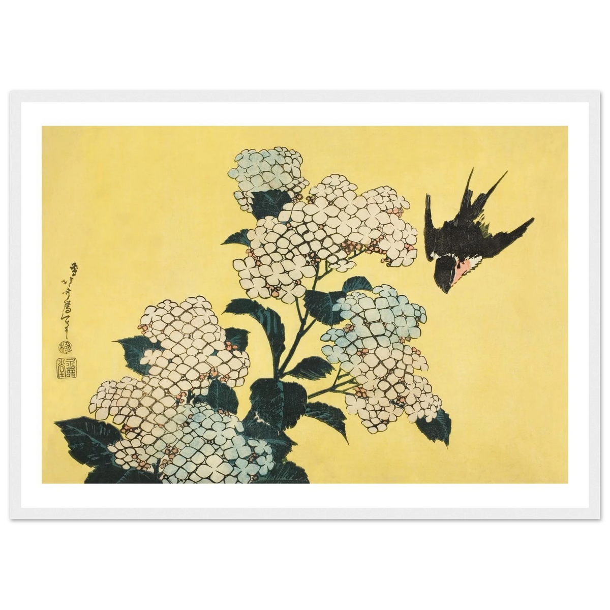 Poster Hortensia et hirondelle encadré cadre blanc, estampe japonaise Hokusai INKONAL