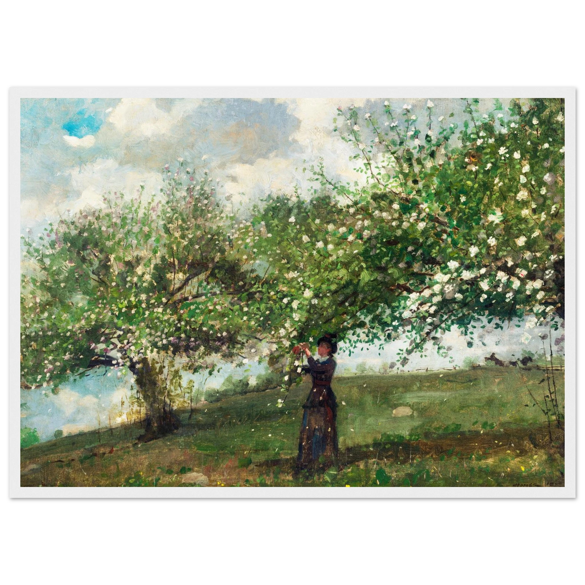 Poster Jeune fille cueillant des fleurs de pommier de Winslow Homer, encadré cadre blanc – affiche d'art INKONAL