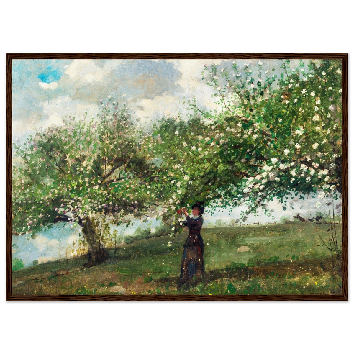 Poster Jeune fille cueillant des fleurs de pommier de Winslow Homer, encadré cadre bois foncé – affiche d'art INKONAL