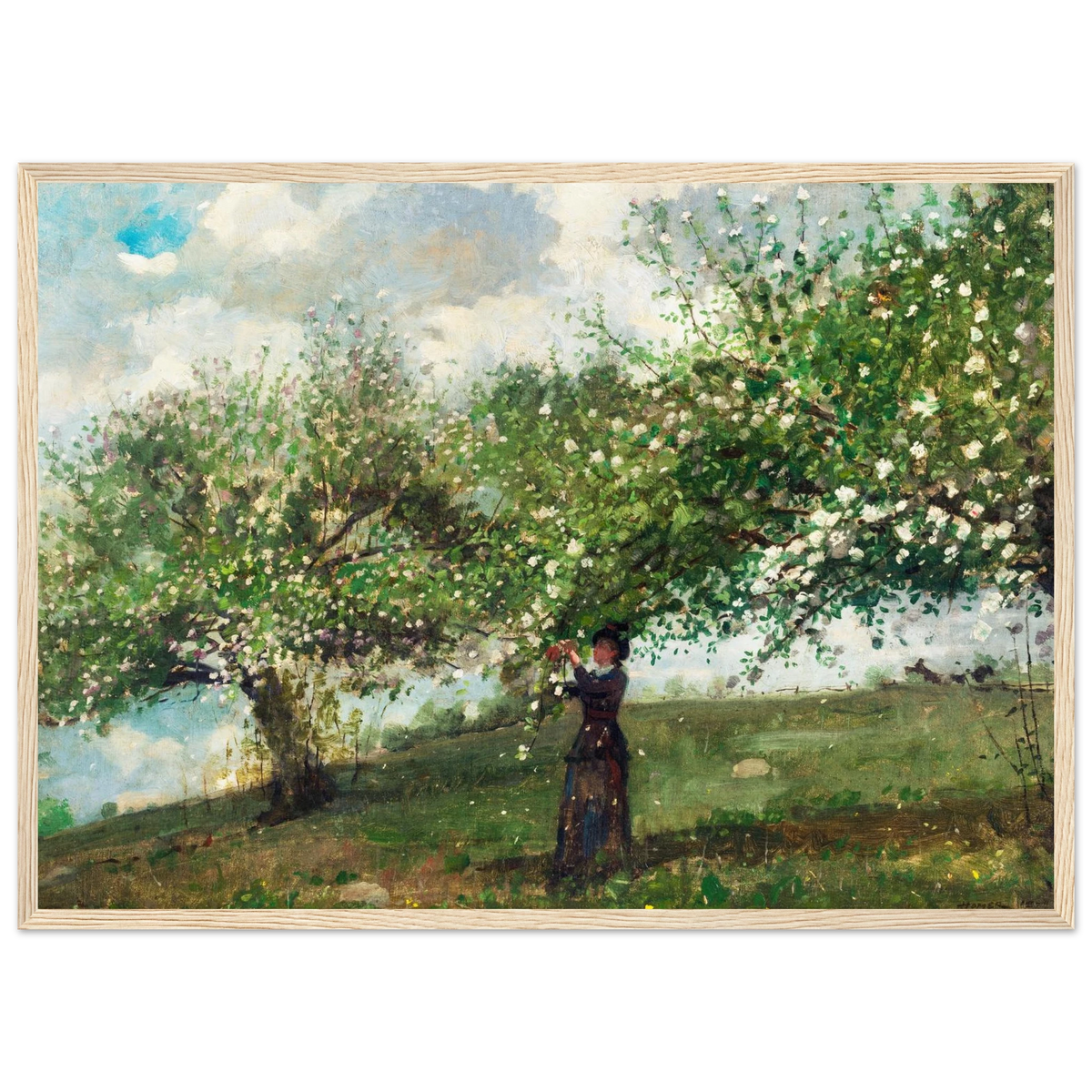 Poster Jeune fille cueillant des fleurs de pommier de Winslow Homer, encadré cadre bois – affiche d'art INKONAL