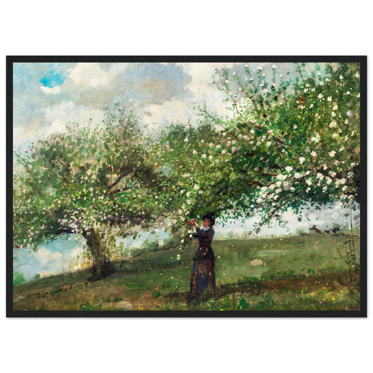 Poster Jeune fille cueillant des fleurs de pommier de Winslow Homer, encadré cadre noir – affiche d'art INKONAL