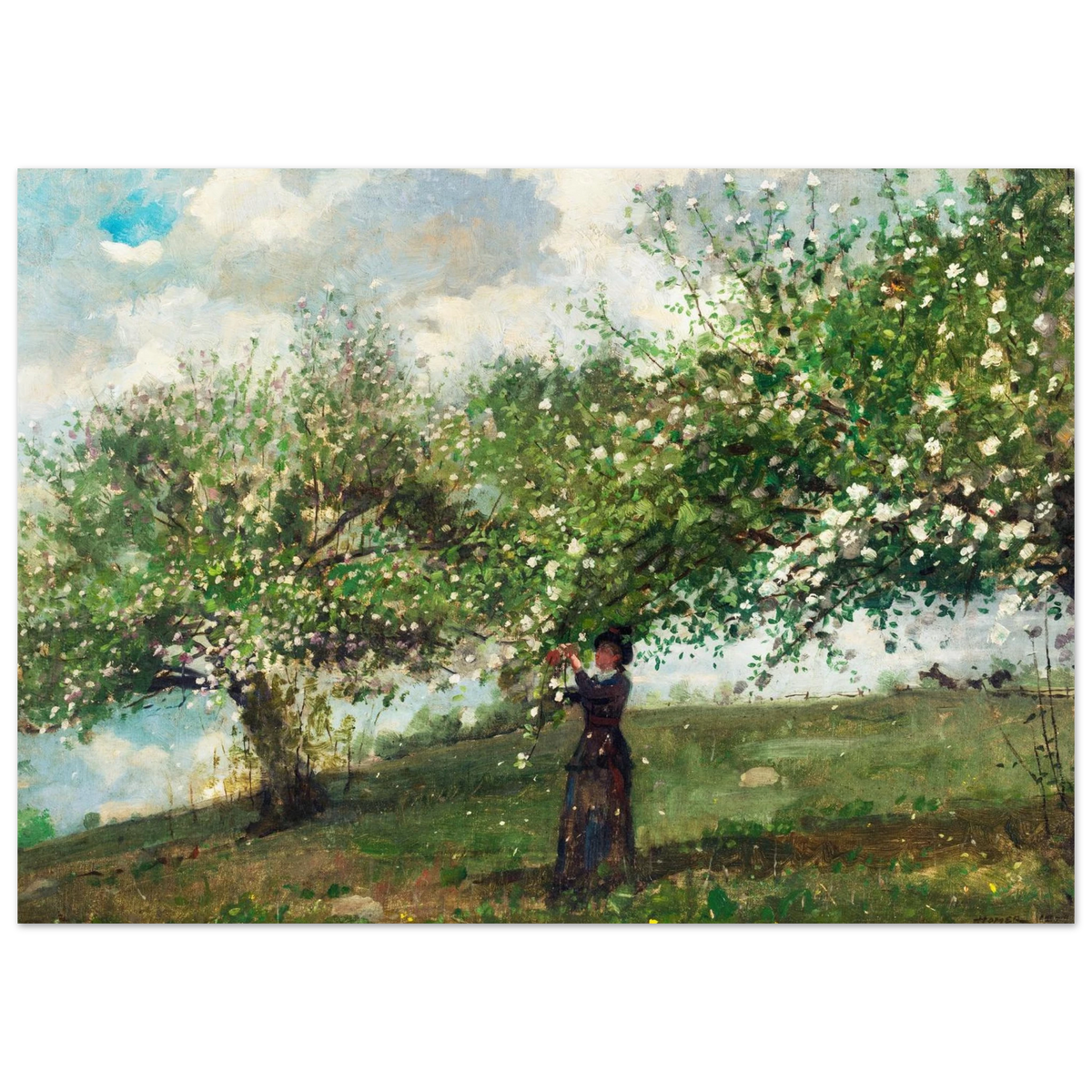 Poster Jeune fille cueillant des fleurs de pommier de Winslow Homer, sans cadre – affiche d'art INKONAL