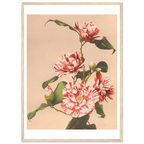 Poster Camélias striés encadré cadre bois — deux camélias striés de rouge, photographie japonaise ancienne INKONAL
