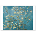 Tableau Amandier en fleurs — Vincent van Gogh, tirage sans cadre | INKONAL
