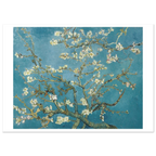 Tableau Amandier en fleurs — Vincent van Gogh, tirage sans cadre | INKONAL