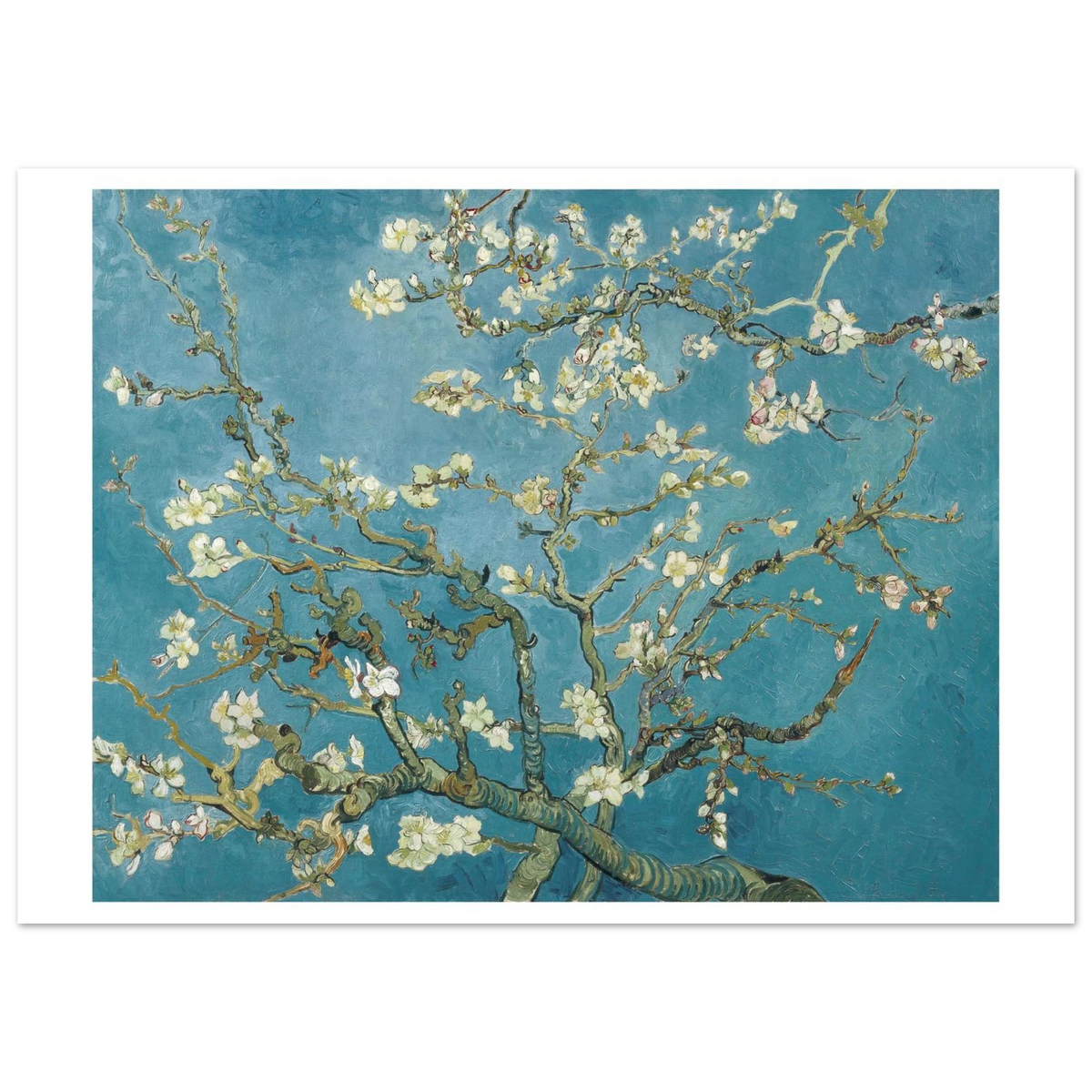 Tableau Amandier en fleurs — Vincent van Gogh, tirage sans cadre | INKONAL