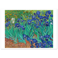 Tableau Les Iris — Vincent van Gogh, tirage sans cadre | INKONAL
