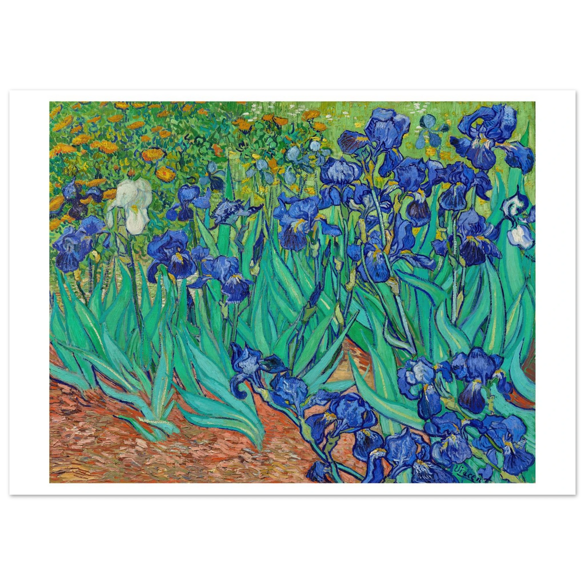 Tableau Les Iris — Vincent van Gogh, tirage sans cadre | INKONAL