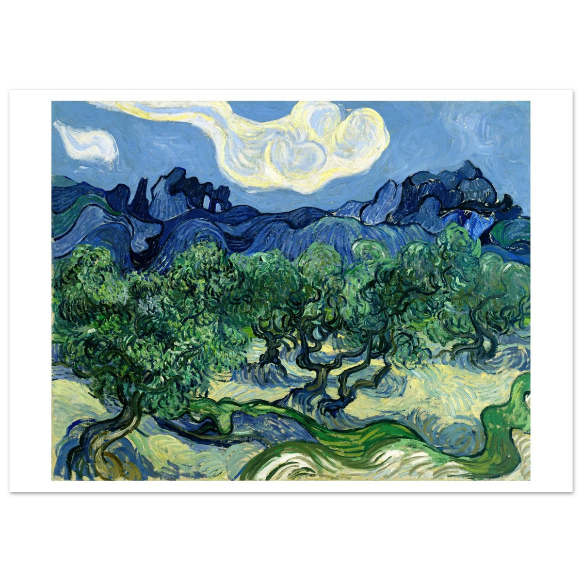 Tableau Les Oliviers, les Alpilles en arrière-plan — Vincent van Gogh, tirage sans cadre | INKONAL