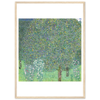 Tableau Rosiers sous les arbres — Gustav Klimt, tirage cadre bois | INKONAL