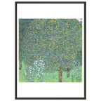 Tableau Rosiers sous les arbres — Gustav Klimt, tirage cadre noir | INKONAL