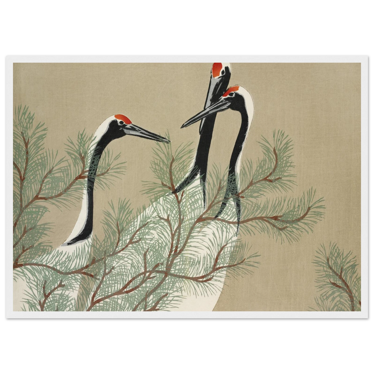 Tableau Grues — Kamisaka Sekka, tirage encadré cadre blanc | INKONAL