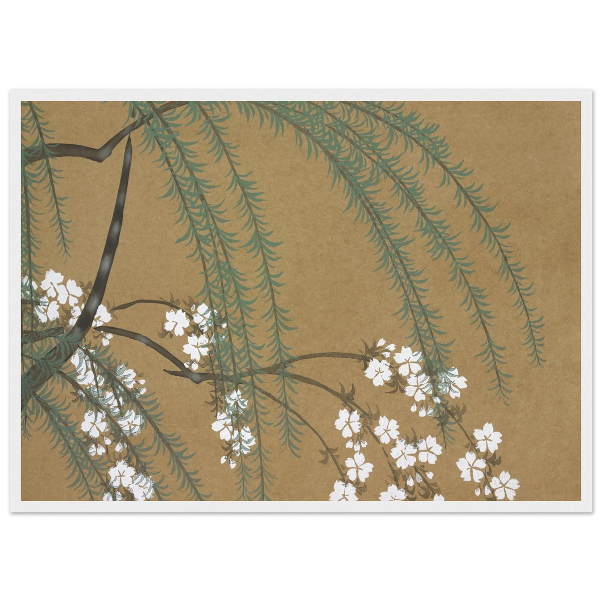 Estampe japonaise YANAGIZAKURA, Saule et cerisier — Kamisaka Sekka, tirage encadré cadre blanc | INKONAL