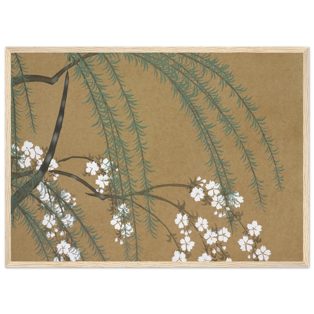 Estampe japonaise YANAGIZAKURA, Saule et cerisier — Kamisaka Sekka, tirage encadré cadre bois | INKONAL