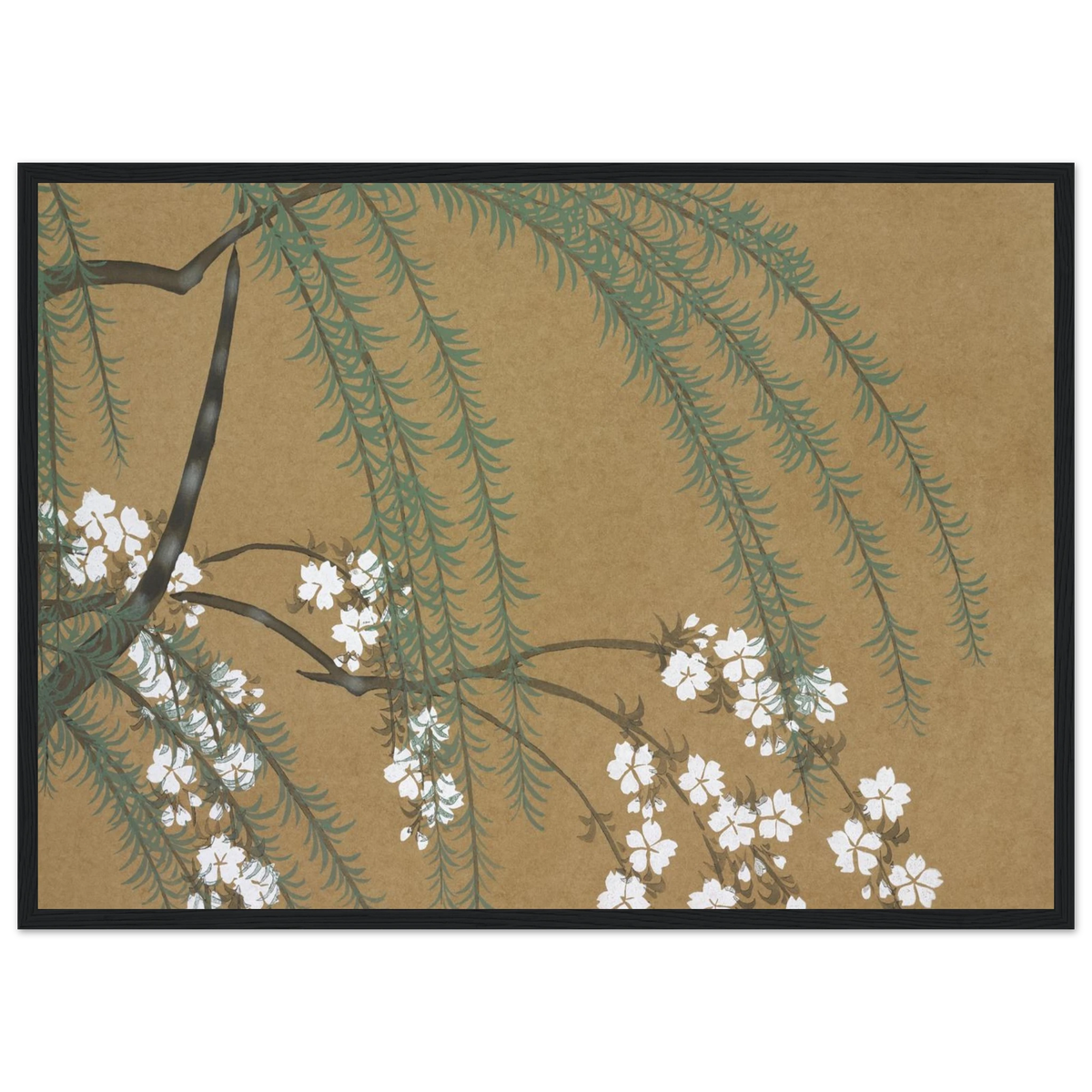 Estampe japonaise YANAGIZAKURA, Saule et cerisier — Kamisaka Sekka, tirage encadré cadre noir | INKONAL